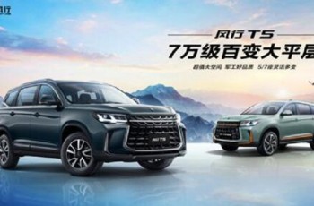东风风行